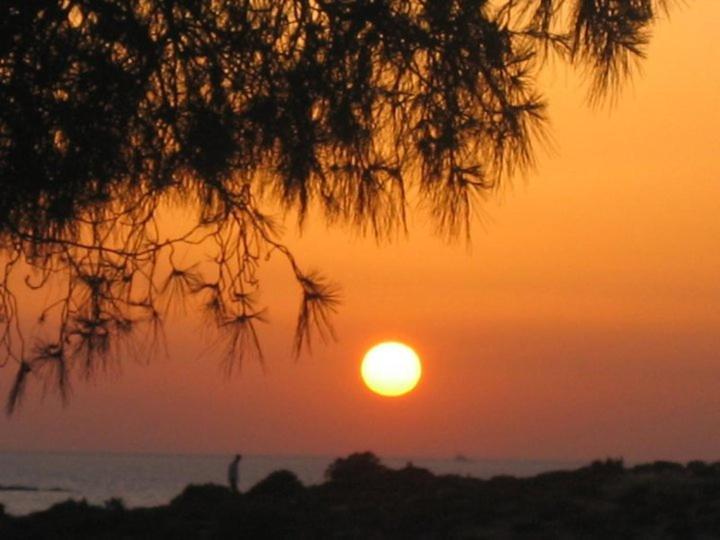 Teras Motel Foça Eksteriør billede